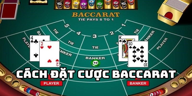 4 cách chơi Baccarat cơm gạo luôn thắng cho tân binh