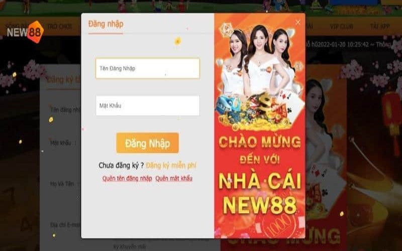 Người chơi cần đăng nhập vào NEW88