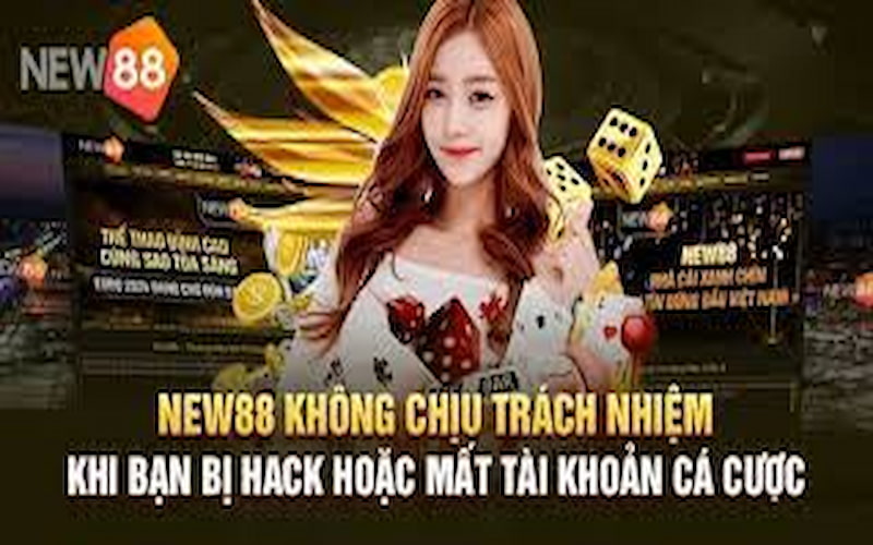 Trường hợp người dùng làm mất tài khoản, NEW88 không liên quan